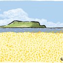 느나제주