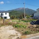 예술인마을공인중개사사무소 이미지