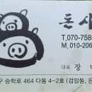 돈사미 이미지