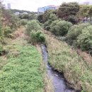 중앙하수처리장 옆 이미지