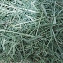 원칸통상 이미지