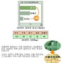 2010년 여주 재배 이력 이미지