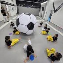 충렬 태권도장 이미지