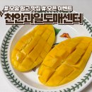 천안과일도매센터 | 망고 맛집 찾았다, 오송 신상 천안과일도매센터 다녀온 날