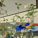 대구대산초등학교 이미지