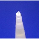 스피드오일 이미지