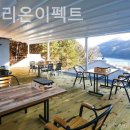 피그멜리온이펙트