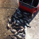 라잇나우 이미지