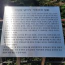 WR(서울특별시 동작구)-[사당로16길]-상-1 | 달마가 동쪽으로 간 까닭은? 서달산 달마사 탐방기