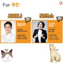 올바른펫 이미지