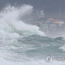 태풍 '바비'가 효자 태풍?.."중국발 고수온·저염분수 소멸" 이미지