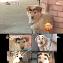 숯검뎅이 이미지