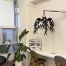 자연앤동물병원 미용실 | 대전미용실 관저동 앤제이헤어에서 봄웜 찰떡 컬러 모카무스 염색했어요