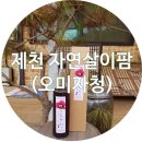 지와이팜 이미지