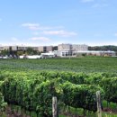 나이아가라관광호텔 이미지