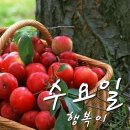 노을연가