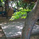 임진강리조트 이미지