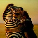 중앙시장(동) 이미지