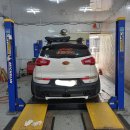 준피티드 이미지