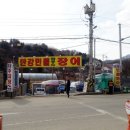 한강민물