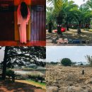 상가리농장 | 제주도 애월 가볼만한곳 제주 놀거리 BEST5