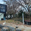 코지스위트 | 포항 오션뷰펜션 코지스위트 내돈내산 만족후기
