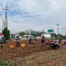 보훈농장 이미지