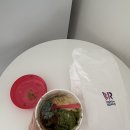 베스킨라빈스보라매타운점 | 배스킨라빈스 쿠팡이츠 배달 추천 후기