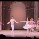 동화발레 잠자는 숲속의 미녀(서울시티발레단) | 스완스발레단 2025 ’잠자는숲속의 미녀‘ 정기공연 후기