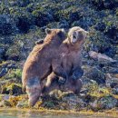 싸움(Fight) 이미지