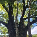 옥련암 소장유물 | [경북] 2025, 청도 … 3. 적천사