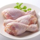 고기도감 이미지