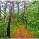 별마로빌리지 이미지