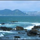 누루 - 군포시 산본로323번길 4-21 | 누루