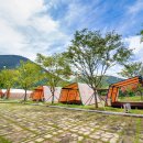 자작나무뜰 오토캠핑장 이미지