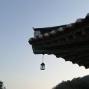 9월 넷째주 일상일기 : 백양사 템플스테이