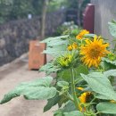 호근정원 이미지