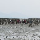 다우리농장 이미지