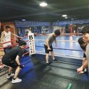 칠곡MS복싱 이미지