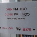 마이달링독 이미지