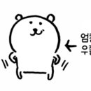 손문갈매기