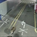 행정용 30 이미지