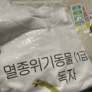 로핸 | 📚2026 서울국제도서전 오픈런 꿀팁 굿즈 솔직 후기 📚