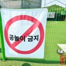 멍.슈슈 | 시흥 애견 운동장 카페 멍슈슈 대형견 소형견 강아지 공간 분리