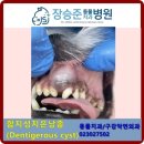 장승준동물치과병원 이미지