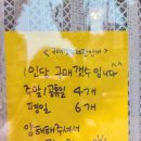 안양 관양동 빵집 / 평촌 디저트 맛집- 올리롤리 (안양 시나몬 롤 대기 예약 방법)