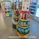 올리브영서면역사점
