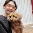 미소코비치잡화점