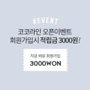 코코네일 이미지