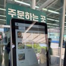 블루밀망향비빔국수포천 | 포천 연천 망향비빔국수 본점 후기 시원하고 매콤한 비빔국수(가격 주차장 아기국수 강아지 포장 정보)